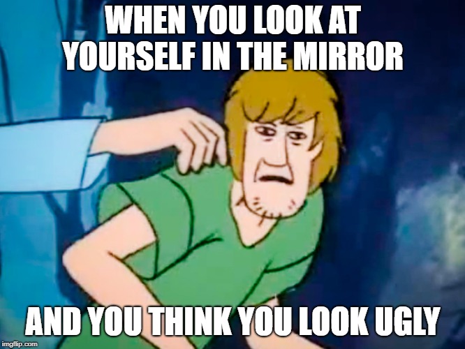 Shaggy meme | WHEN YOU LOOK AT YOURSELF IN THE MIRROR; AND YOU THINK YOU LOOK UGLY | image tagged in shaggy meme | made w/ Imgflip meme maker