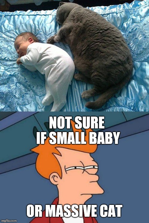NOT SURE IF SMALL BABY; OR MASSIVE CAT | image tagged in memes,futurama fry,cat nap | made w/ Imgflip meme maker
