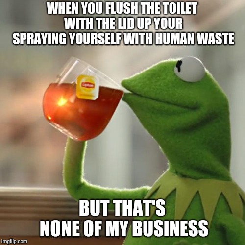 But That's None Of My Business | WHEN YOU FLUSH THE TOILET WITH THE LID UP YOUR SPRAYING YOURSELF WITH HUMAN WASTE; BUT THAT'S NONE OF MY BUSINESS | image tagged in memes,but thats none of my business,kermit the frog | made w/ Imgflip meme maker