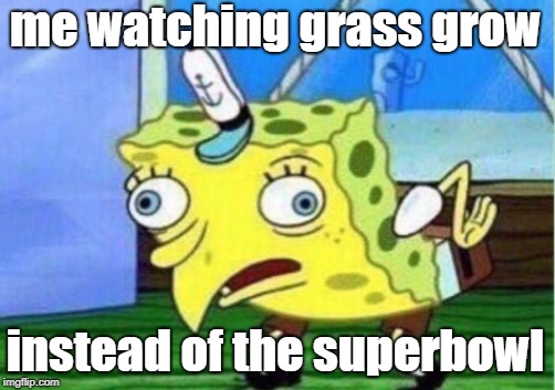 me watching grass grow instead of the superbowl | image tagged in memes,mocking spongebob | made w/ Imgflip meme maker