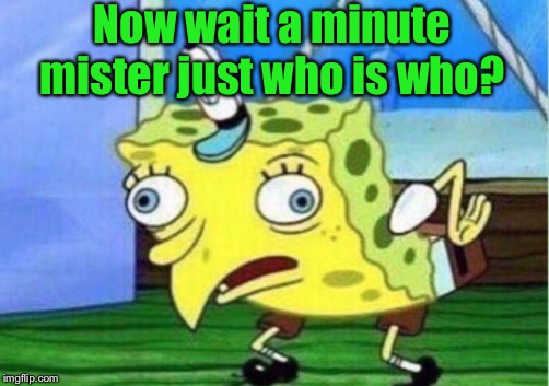 Mocking Spongebob Meme | Now wait a minute mister just who is who? | image tagged in memes,mocking spongebob | made w/ Imgflip meme maker