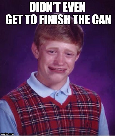 Sad brian | DIDN'T EVEN GET TO FINISH THE CAN | image tagged in sad brian | made w/ Imgflip meme maker