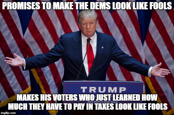 Bet you wanna see HIS Tax Returns now | PROMISES TO MAKE THE DEMS LOOK LIKE FOOLS; MAKES HIS VOTERS WHO JUST LEARNED HOW MUCH THEY HAVE TO PAY IN TAXES LOOK LIKE FOOLS | image tagged in donald trump,tax returns,taxes,trump supporters,gop tax cut,broken promises | made w/ Imgflip meme maker