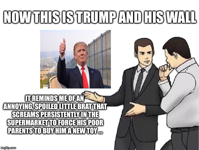 Car Salesman Slaps Hood | NOW THIS IS TRUMP AND HIS WALL; IT REMINDS ME OF AN ANNOYING, SPOILED LITTLE BRAT THAT SCREAMS PERSISTENTLY IN THE SUPERMARKET TO FORCE HIS POOR PARENTS TO BUY HIM A NEW TOY ... | image tagged in memes,car salesman slaps hood | made w/ Imgflip meme maker