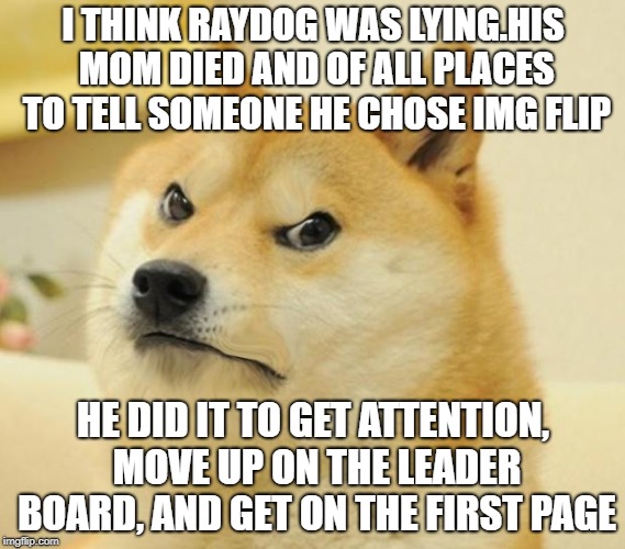 think about it | I THINK RAYDOG WAS LYING.HIS MOM DIED AND OF ALL PLACES TO TELL SOMEONE HE CHOSE IMG FLIP; HE DID IT TO GET ATTENTION, MOVE UP ON THE LEADER BOARD, AND GET ON THE FIRST PAGE | image tagged in mad doge | made w/ Imgflip meme maker
