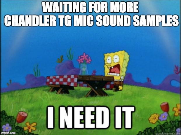 spongebob I need it | WAITING FOR MORE CHANDLER TG MIC SOUND SAMPLES | image tagged in spongebob i need it | made w/ Imgflip meme maker