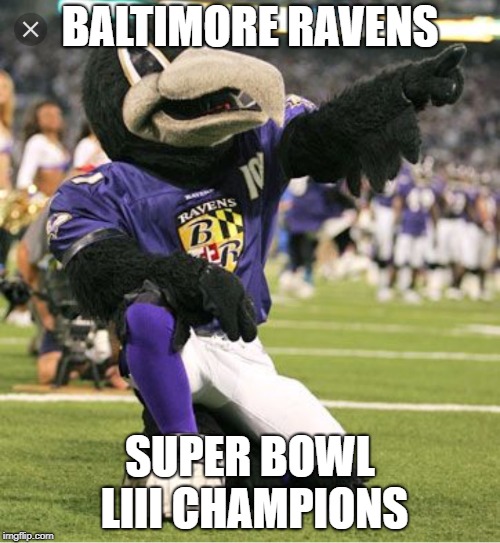 Baltimore Ravens | BALTIMORE RAVENS; SUPER BOWL LIII CHAMPIONS | image tagged in baltimore ravens | made w/ Imgflip meme maker