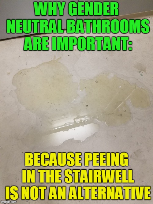 Gender Neutral Bathrooms Alternative | WHY GENDER NEUTRAL BATHROOMS ARE IMPORTANT:; BECAUSE PEEING IN THE STAIRWELL IS NOT AN ALTERNATIVE | image tagged in pee,urine,piss,stairs,transgender bathroom,bathroom | made w/ Imgflip meme maker