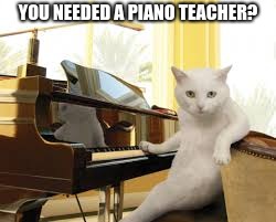 Piano Cat | YOU NEEDED A PIANO TEACHER? | image tagged in memes,cats are awesome | made w/ Imgflip meme maker