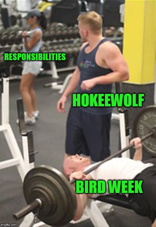 Bird weekend attempt | RESPONSIBILITIES; HOKEEWOLF; BIRD WEEK | image tagged in bad gym spot,bird weekend | made w/ Imgflip meme maker