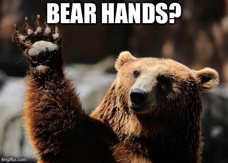 Bear Hands Up | BEAR HANDS? | image tagged in bear hands up | made w/ Imgflip meme maker