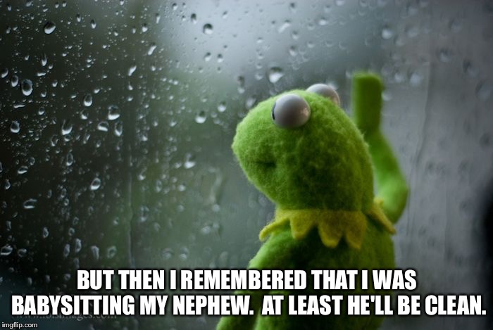 kermit window | BUT THEN I REMEMBERED THAT I WAS BABYSITTING MY NEPHEW.  AT LEAST HE'LL BE CLEAN. | image tagged in kermit window | made w/ Imgflip meme maker