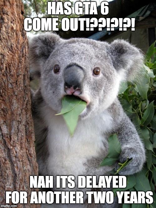 GTA 6 WHY WERE U DELAYED! | HAS GTA 6 COME OUT!??!?!?! NAH ITS DELAYED FOR ANOTHER TWO YEARS | image tagged in memes,surprised koala | made w/ Imgflip meme maker