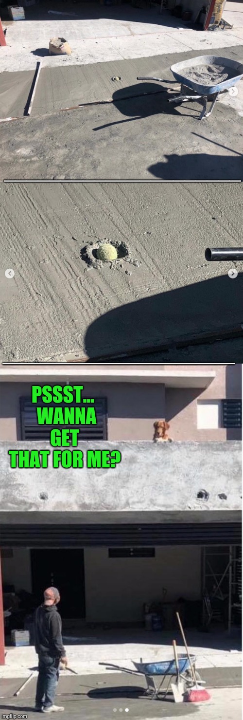 Fetch, hooman! | _____________________; ________________________; PSSST... 
WANNA GET THAT FOR ME? | image tagged in ball in cement | made w/ Imgflip meme maker