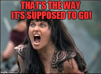Angry Xena | THAT'S THE WAY IT'S SUPPOSED TO GO! | image tagged in angry xena | made w/ Imgflip meme maker