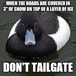 Angry Advice Mallard | WHEN THE ROADS ARE COVERED IN 3" OF SNOW ON TOP OF A LAYER OF ICE; DON'T TAILGATE | image tagged in angry advice mallard,AdviceAnimals | made w/ Imgflip meme maker