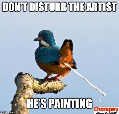 Bird pooping | DON’T DISTURB THE ARTIST HE’S PAINTING | image tagged in bird pooping | made w/ Imgflip meme maker