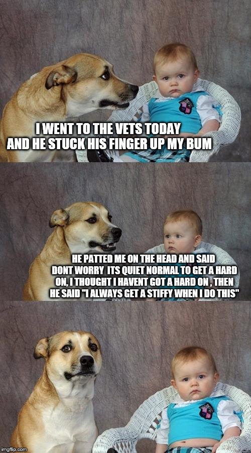 Dad Joke Dog Meme | I WENT TO THE VETS TODAY AND HE STUCK HIS FINGER UP MY BUM; HE PATTED ME ON THE HEAD AND SAID DONT WORRY  ITS QUIET NORMAL TO GET A HARD ON, I THOUGHT I HAVENT GOT A HARD ON , THEN HE SAID "I ALWAYS GET A STIFFY WHEN I DO THIS" | image tagged in memes,dad joke dog | made w/ Imgflip meme maker