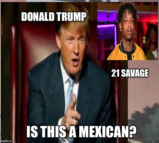 He’s asking for a friend... | DONALD TRUMP; 21 SAVAGE; IS THIS A MEXICAN? | image tagged in trump wall,21 savage,racism,mexico | made w/ Imgflip meme maker
