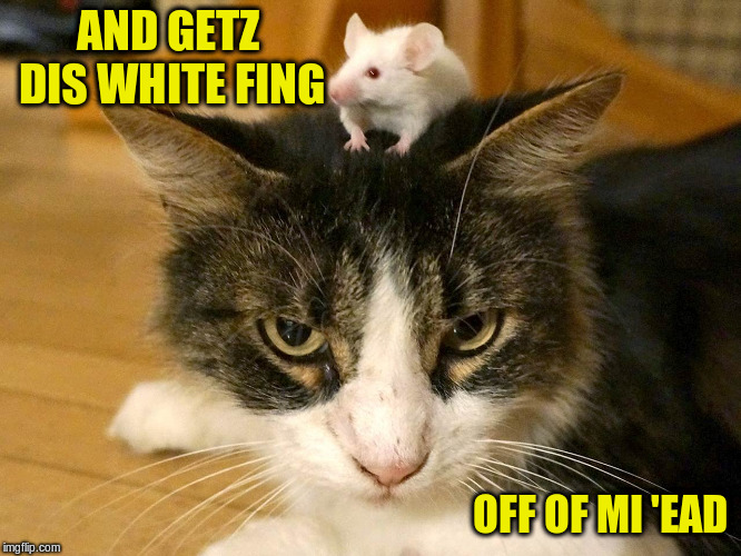 AND GETZ DIS WHITE FING OFF OF MI 'EAD | made w/ Imgflip meme maker