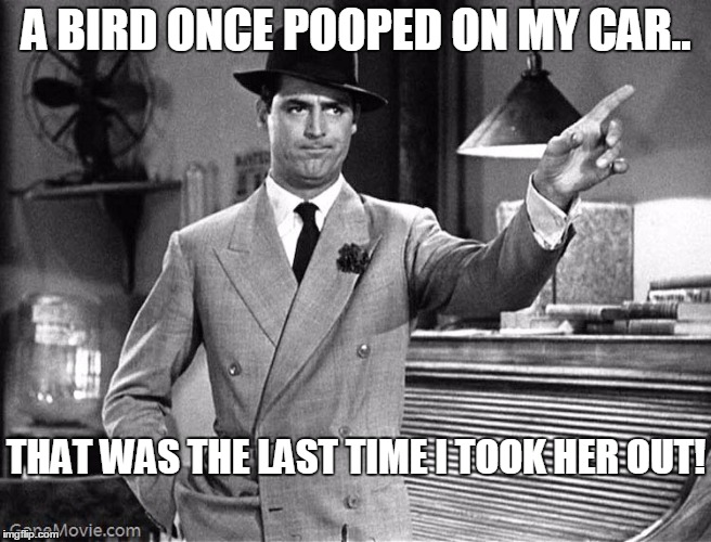 Get Out | A BIRD ONCE POOPED ON MY CAR.. THAT WAS THE LAST TIME I TOOK HER OUT! | image tagged in get out | made w/ Imgflip meme maker