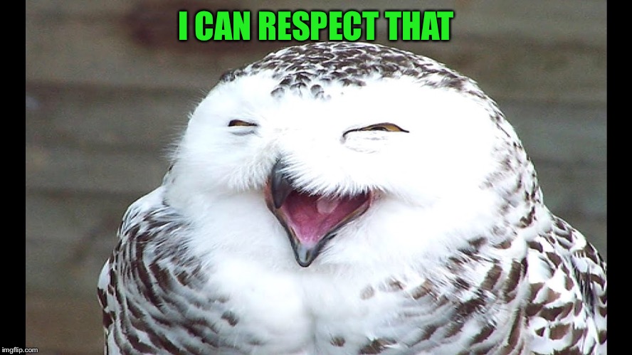 laughing owl | I CAN RESPECT THAT | image tagged in laughing owl | made w/ Imgflip meme maker