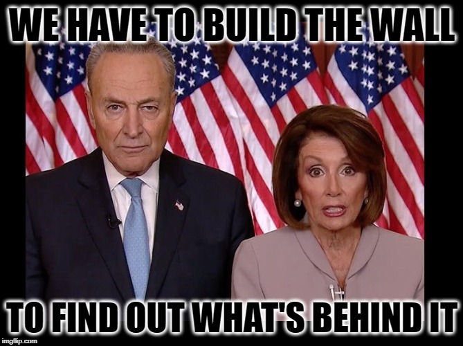 WE HAVE TO BUILD THE WALL; TO FIND OUT WHAT'S BEHIND IT | image tagged in chuck schumer,nancy pelosi,trump 2020,build the wall | made w/ Imgflip meme maker