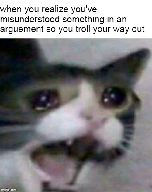 dont you dare say you did not do this atleast once | when you realize you've misunderstood something in an arguement so you troll your way out | image tagged in crying cat,relatable | made w/ Imgflip meme maker