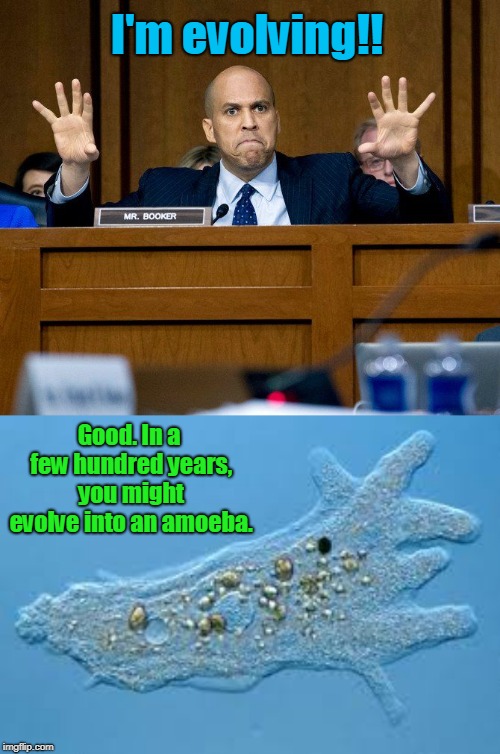 Theory of Evolution Hard at Work | I'm evolving!! Good. In a few hundred years, you might evolve into an amoeba. | image tagged in amoeba,cory booker | made w/ Imgflip meme maker