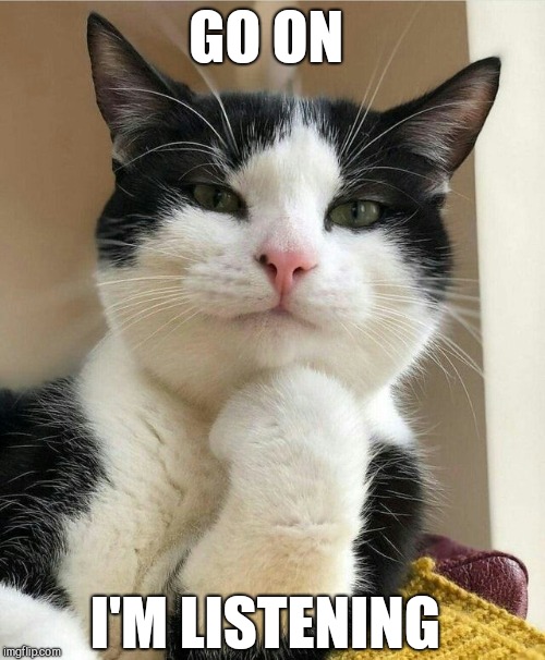 Condescending cat | GO ON; I'M LISTENING | image tagged in condescending cat | made w/ Imgflip meme maker