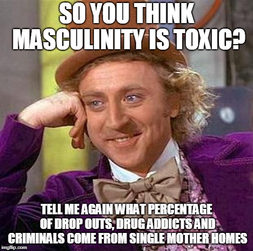 Creepy Condescending Wonka Meme | SO YOU THINK MASCULINITY IS TOXIC? TELL ME AGAIN WHAT PERCENTAGE OF DROP OUTS, DRUG ADDICTS AND CRIMINALS COME FROM SINGLE MOTHER HOMES | image tagged in memes,creepy condescending wonka | made w/ Imgflip meme maker