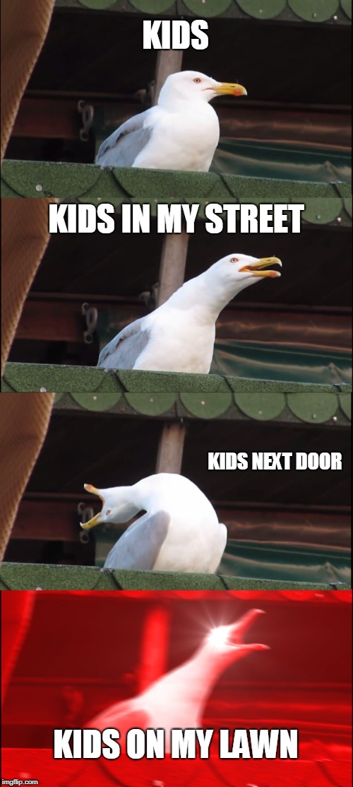 Inhaling Seagull Meme | KIDS; KIDS IN MY STREET; KIDS NEXT DOOR; KIDS ON MY LAWN | image tagged in memes,inhaling seagull | made w/ Imgflip meme maker