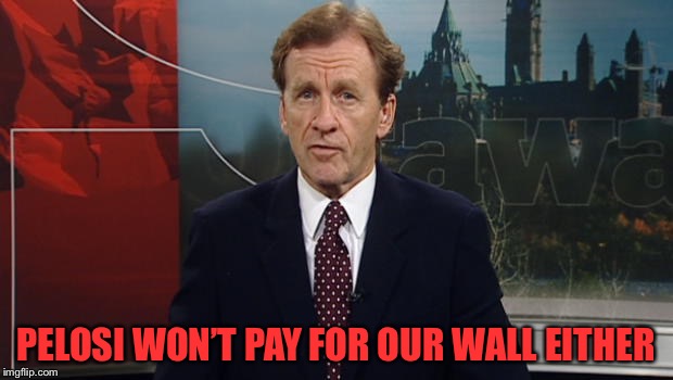 Canadian Irony | PELOSI WON’T PAY FOR OUR WALL EITHER | image tagged in canadian irony | made w/ Imgflip meme maker
