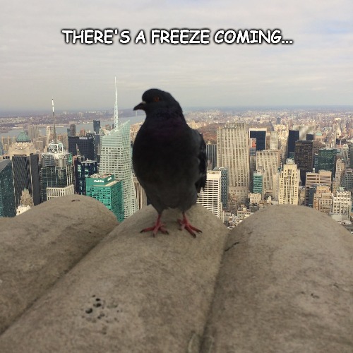 With Hindsight Meme... | THERE'S A FREEZE COMING... | image tagged in memes | made w/ Imgflip meme maker