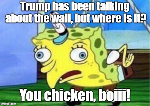 Mocking Spongebob | Trump has been talking about the wall, but where is it? You chicken, boiii! | image tagged in memes,mocking spongebob | made w/ Imgflip meme maker