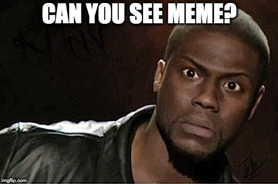 Kevin Hart Meme | CAN YOU SEE MEME? | image tagged in memes,kevin hart | made w/ Imgflip meme maker