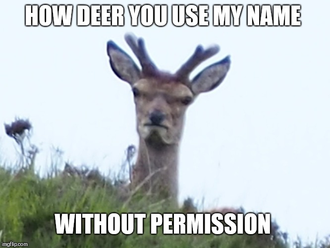 furious deer | HOW DEER YOU USE MY NAME WITHOUT PERMISSION | image tagged in furious deer | made w/ Imgflip meme maker