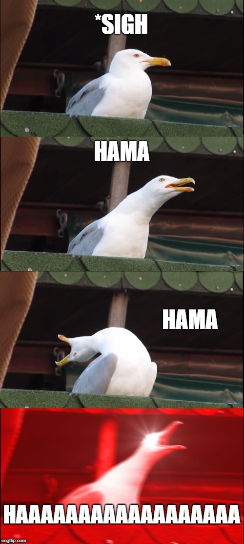 Inhaling Seagull Meme | *SIGH; HAMA; HAMA; HAAAAAAAAAAAAAAAAAA | image tagged in memes,inhaling seagull | made w/ Imgflip meme maker