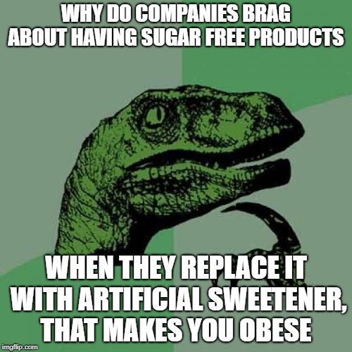 Philosoraptor Meme | WHY DO COMPANIES BRAG ABOUT HAVING SUGAR FREE PRODUCTS; WHEN THEY REPLACE IT WITH ARTIFICIAL SWEETENER, THAT MAKES YOU OBESE | image tagged in memes,philosoraptor | made w/ Imgflip meme maker