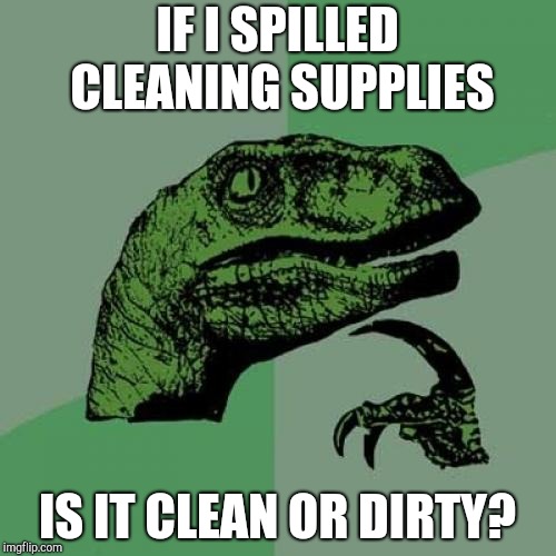 Philosoraptor Meme | IF I SPILLED CLEANING SUPPLIES; IS IT CLEAN OR DIRTY? | image tagged in memes,philosoraptor | made w/ Imgflip meme maker