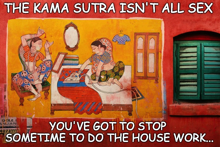 Kama Sutra positions 245...House Work. | THE KAMA SUTRA ISN'T ALL SEX; YOU'VE GOT TO STOP SOMETIME TO DO THE HOUSE WORK... | image tagged in kama sutra | made w/ Imgflip meme maker
