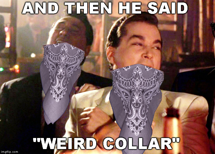 Good Fellas Hilarious Meme | AND THEN HE SAID "WEIRD COLLAR" | image tagged in memes,good fellas hilarious | made w/ Imgflip meme maker