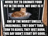Cat in oven | NEVER TRY TO CREMATE YOUR PET IN THE OVEN. NOT ONLY IS IT; ONE OF THE WORST SMELLS IMAGINABLE, THEY DON’T TURN TURN TO ASHES, THEY JUST BURN.  THIS DAY DIDN’T START OFF GOOD. | image tagged in cat in oven | made w/ Imgflip meme maker