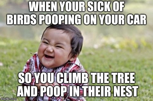 Evil Toddler Meme | WHEN YOUR SICK OF BIRDS POOPING ON YOUR CAR; SO YOU CLIMB THE TREE AND POOP IN THEIR NEST | image tagged in memes,evil toddler | made w/ Imgflip meme maker