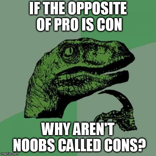 pro and con | IF THE OPPOSITE OF PRO IS CON; WHY AREN'T NOOBS CALLED CONS? | image tagged in memes,philosoraptor,professional,noob | made w/ Imgflip meme maker