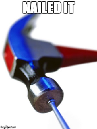 hammer nail | NAILED IT | image tagged in hammer nail | made w/ Imgflip meme maker