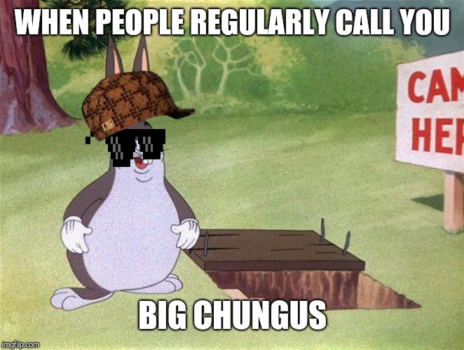 Big Chungus | WHEN PEOPLE REGULARLY CALL YOU; BIG CHUNGUS | image tagged in big chungus | made w/ Imgflip meme maker