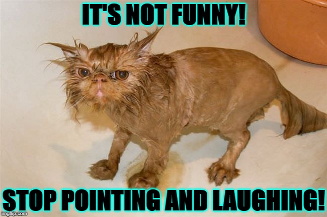 NOT FUNNY | IT'S NOT FUNNY! STOP POINTING AND LAUGHING! | image tagged in not funny | made w/ Imgflip meme maker