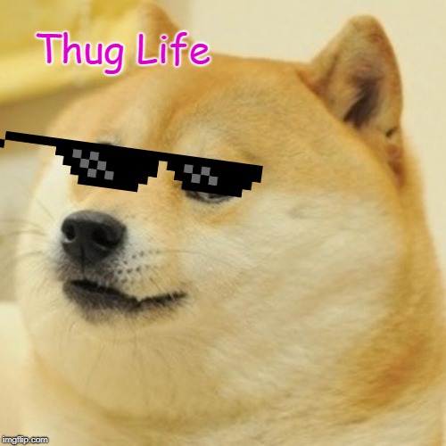 Doge Meme | Thug Life | image tagged in memes,doge | made w/ Imgflip meme maker