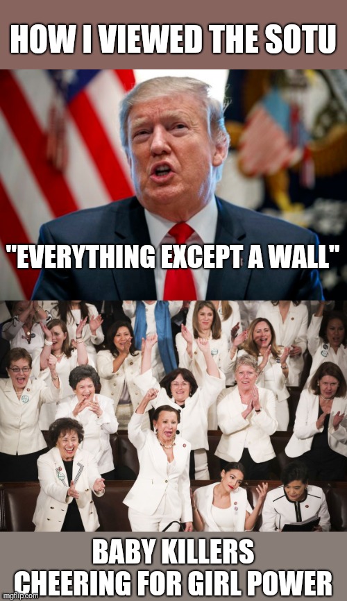 HOW I VIEWED THE SOTU; "EVERYTHING EXCEPT A WALL"; BABY KILLERS CHEERING FOR GIRL POWER | image tagged in funny memes | made w/ Imgflip meme maker